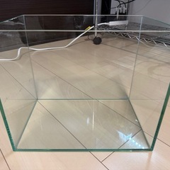 30cmオールガラス水槽+lightセット