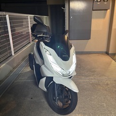 pcx jk05の画像