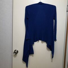 定価の90％OFFで出します！、　タグ付き、未使用、青、ブルーサイズF、BIGI です！の画像