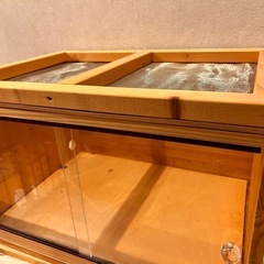 (商談中)爬虫類、小動物用ケージの画像