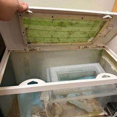 GEX ジェックス REPTERIOR レプテリア500 爬虫類 両生類用 ガラスケージの画像