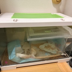 GEX ジェックス REPTERIOR レプテリア500 爬虫類...