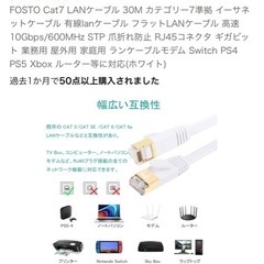 LANケーブル30mの画像