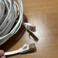 LANケーブル30mの画像