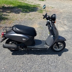 1077.動画あり　AF61 トゥデイ ホンダ　原付　バイク　50cc 車体　埼玉の画像