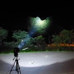 【札幌】クワガタムシ採集ライトトラップ実績経験者を募集！