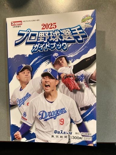 プロ野球選手ガイドブック2010〜2013 発行東京新聞 東京中日