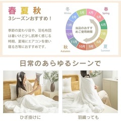 肌掛け布団 掛け布団 キルケット 接触冷感 洗濯可 抗菌 シングル グレーの画像