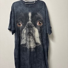 動物Tシャツ THE MOUNTAINの画像