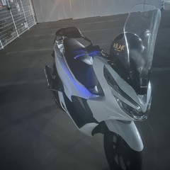 pcxjf81.