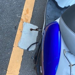 原付の画像