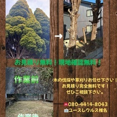 草刈り致します🌱 - 常陸太田市