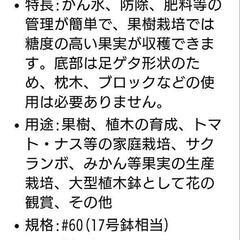 7/31まで！値下げ！【新品未使用】超大型鉢の画像