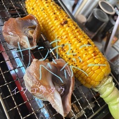 YouTube動画更新しました