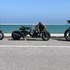 ホンダ　ズーマーカスタム
の画像