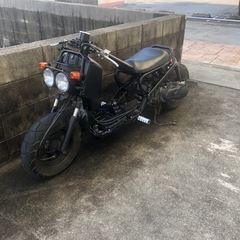 ホンダ　ズーマーカスタム
の画像