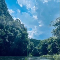 朝活始めました♪