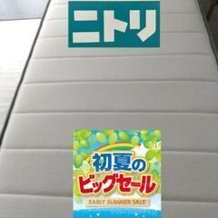 初夏のビックセール！ニトリ Nスリープ ハード03 VB シングル