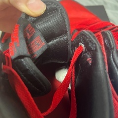 Nike Air Jordan 1 エアジョーダン1 ブレッド bredの画像