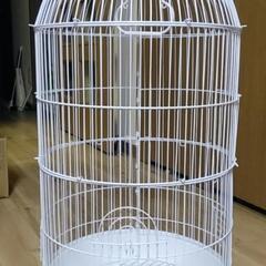鳥かご値下げは無いです