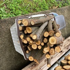 薪🌰(約35〜45cm)の画像