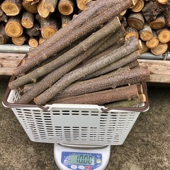 薪🌰(約35〜45cm)