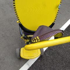 【予定者決定】スマートトライクの画像