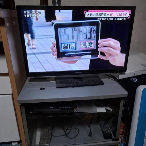 テレビ台付き東芝REGZA24インチ液晶テレビ (ニャンニャン