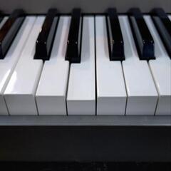 CASIO　カシオ　電子ピアノ　Privia   PX-100   2004年式の画像