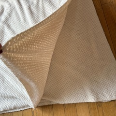 取りに来てくださる方に！無印良品 大判サイズ 2枚 202×188センチ 薄手 フリースブランケット ダブルサイズ 洗濯済みの画像