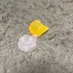 造花(フラワーシャワー)の画像