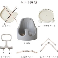 コアラシートの画像