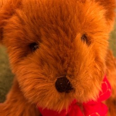 Harrodsトートバッグ&Harrodsテディベアぬいぐるみの画像