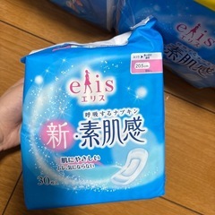 エリス　新　素肌感の画像
