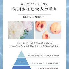 【新品未使用】シャンプーコンディショナーセット ノンシリコン 美容室専売品の画像