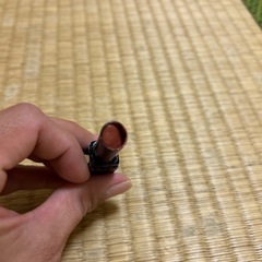 リップの画像