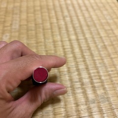 リップの画像