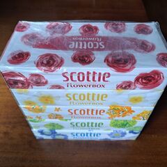 ティシュー ティッシュ Scottie 5箱セットの画像