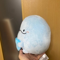 親子イルカの画像