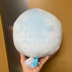 親子イルカの画像