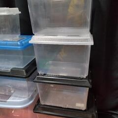 虫かご　育成マット　昆虫ゼリーの画像