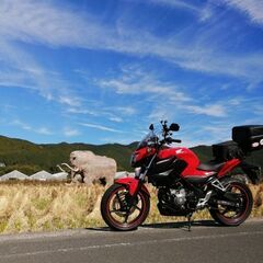 愛媛在住🍊なんですが…ツーリング仲間募集いたします🏍³₃🏍…