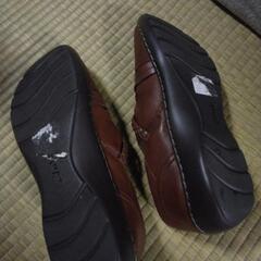 ２５センチから上の画像