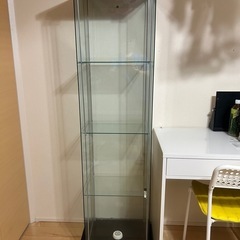 IKEAガラスケース(決まりました)