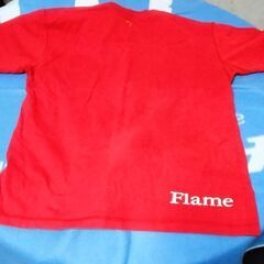 パームス　Tシャツ　２枚の画像