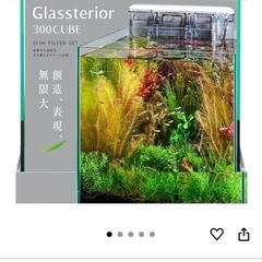30cmキューブガラス水槽の画像