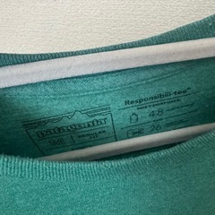 パタゴニア　tシャツの画像