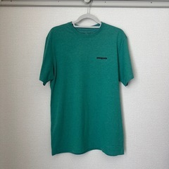 パタゴニア　tシャツの画像