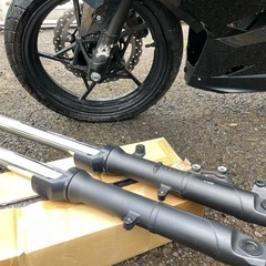 ニンジャ 250p ninja 250令和4年式走行12450kmの画像