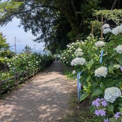 オフ会やります！🌺お友達作りしませんか！？長続きする人のみ募集🌺...